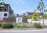 京都大学（桂）